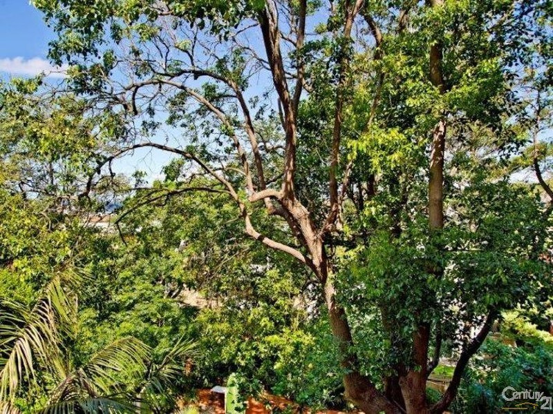 7/35 Birriga Road, Bellevue Hill NSW 2023