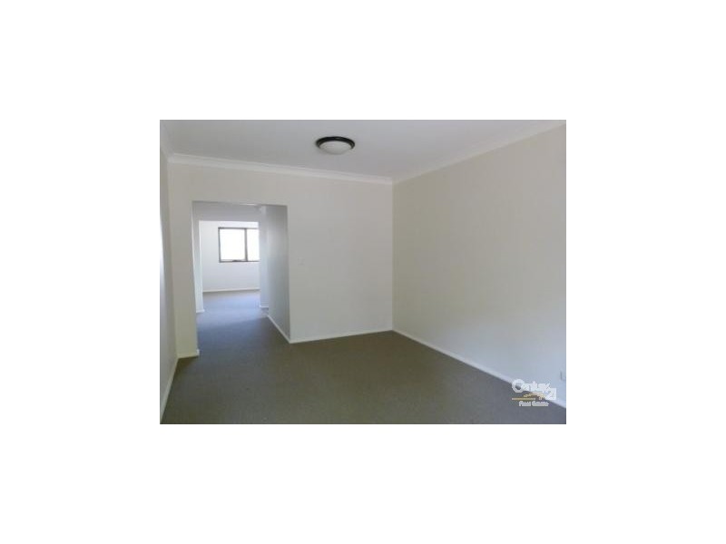 81 Ruthven Street, Bondi Junction NSW 2022