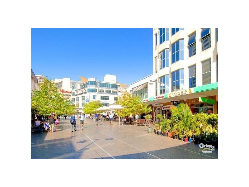 81 Ruthven Street, Bondi Junction NSW 2022