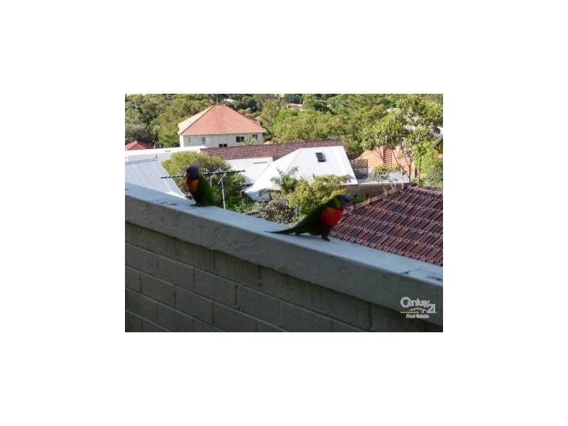 16/3 Rockley Street, Bondi NSW 2026