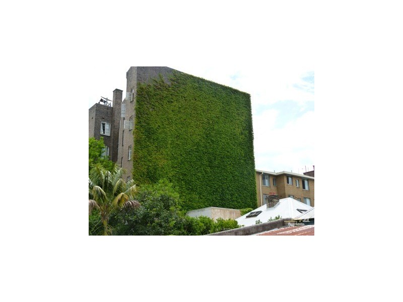 4/240 Forbes Street, Darlinghurst NSW 2010