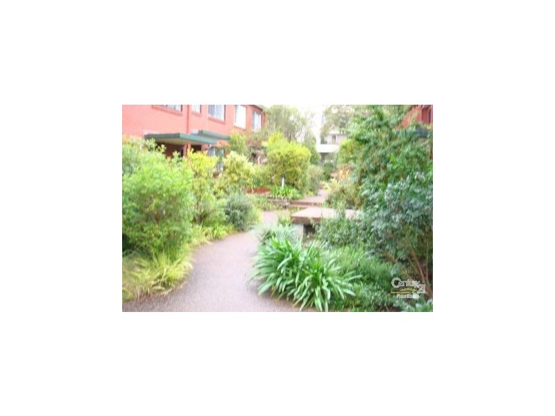 12/113-119 Cook Road, Centennial Park NSW 2021