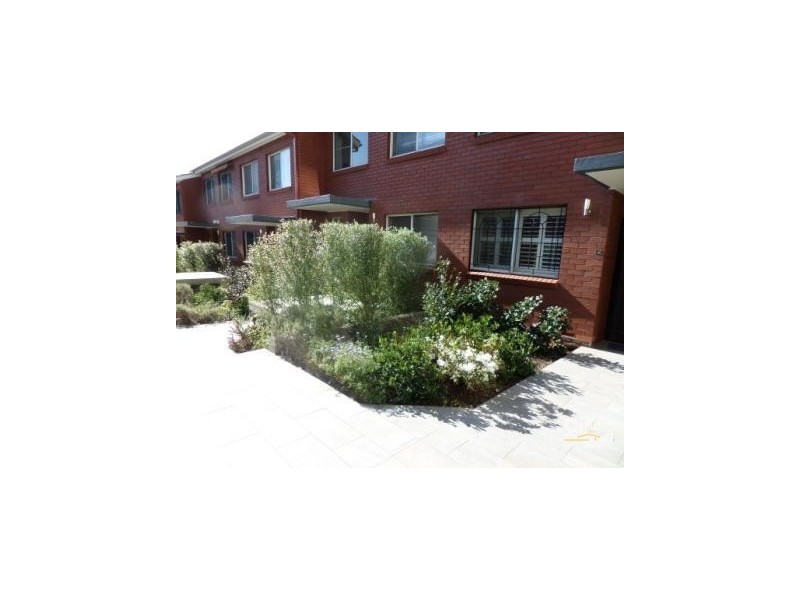 12/113-119 Cook Road, Paddington NSW 2021