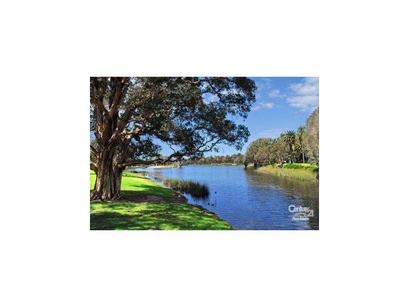 12/113-119 Cook Road, Paddington NSW 2021