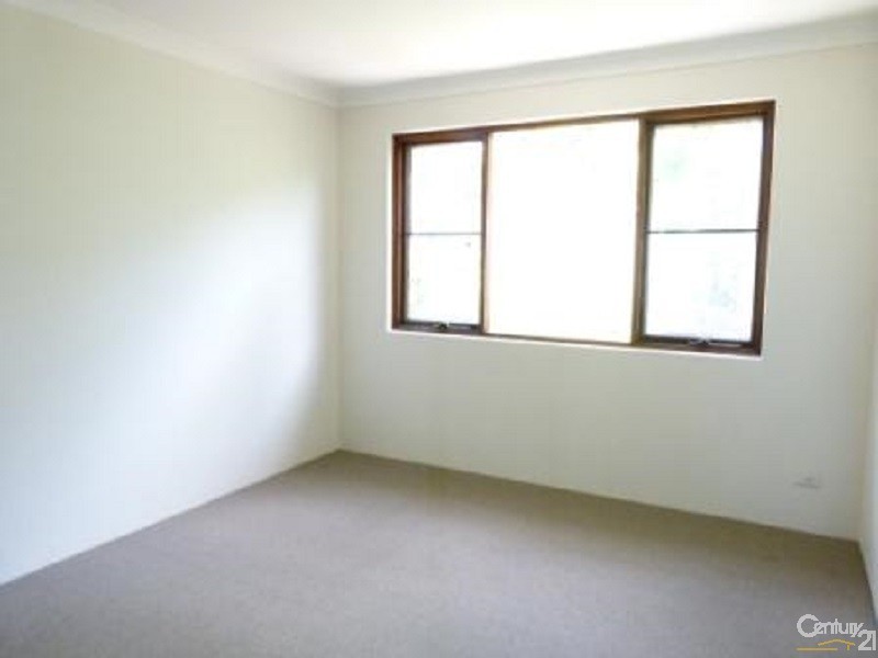 81 Ruthven Street, Bondi Junction NSW 2022