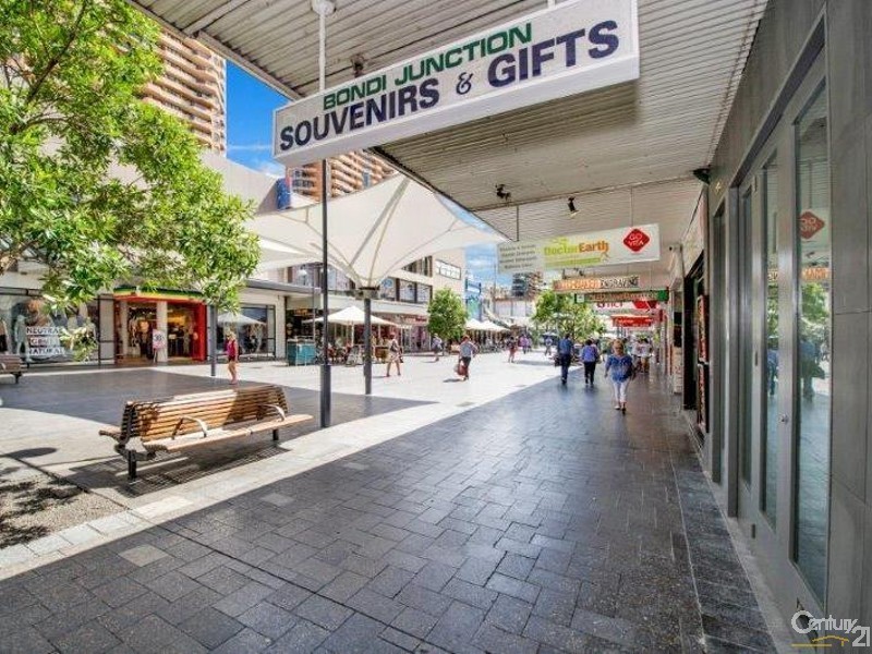 446 Oxford Street, Bondi Junction NSW 2022