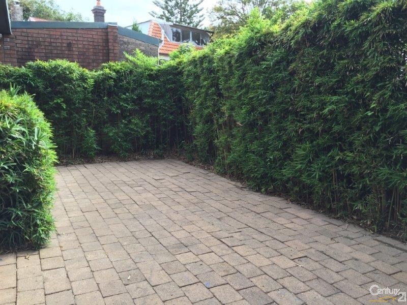 4 Carlton Street, Bronte NSW 2024