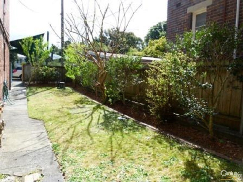 3/113 Edgecliff Road, Woollahra NSW 2025