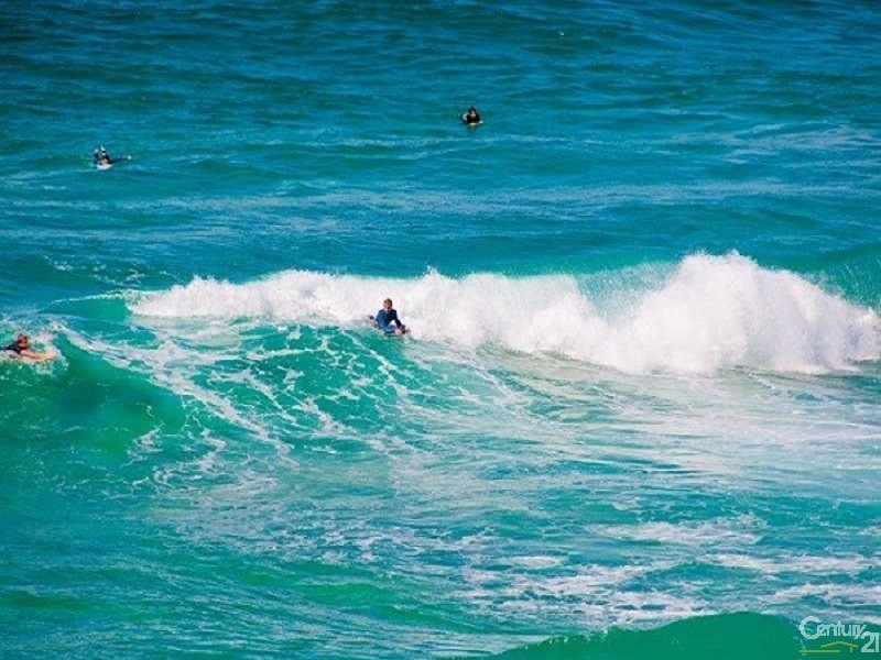 3/380 Bronte Road, Bronte NSW 2024