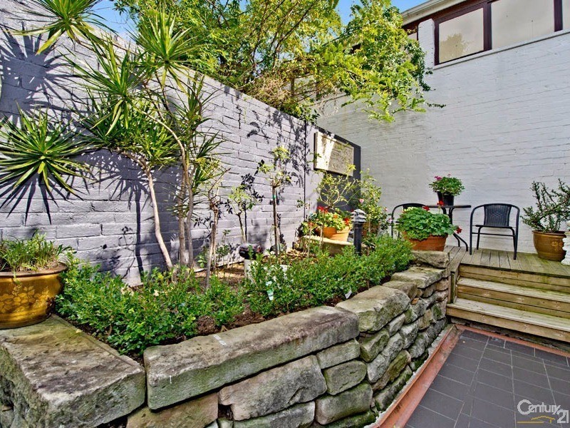 16 Elfred Street, Paddington NSW 2021