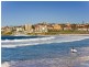 18/164-166 Bondi Road, Bondi NSW 2026
