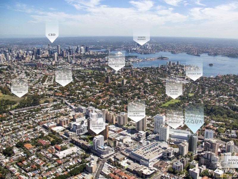 205/241 Oxford Street, Bondi Junction NSW 2022