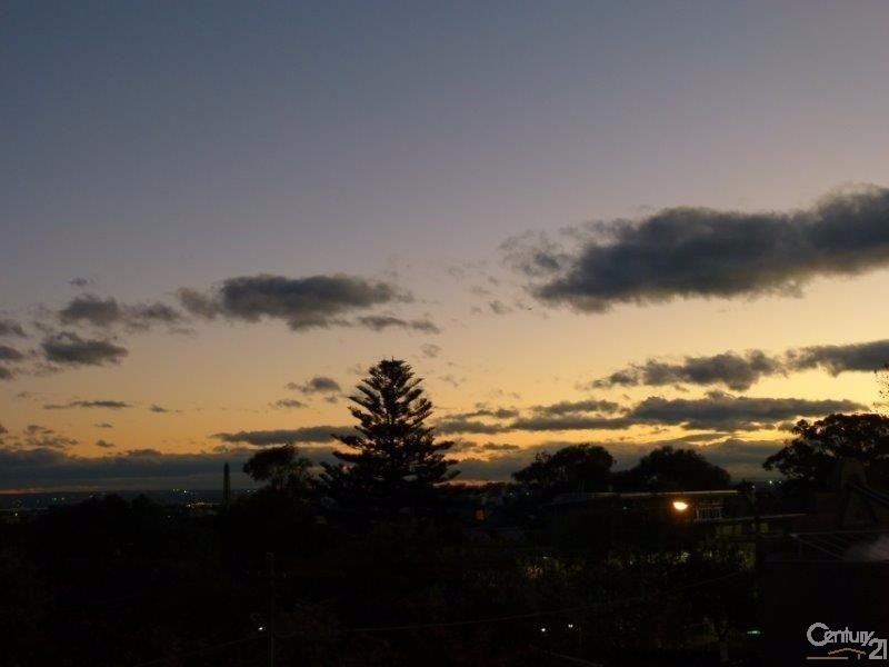 306/29 Newland Street, Bondi Junction NSW 2022