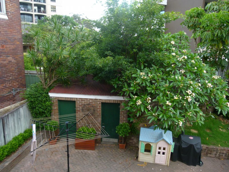 3/17-19 Bondi Road, Bondi Junction NSW 2022