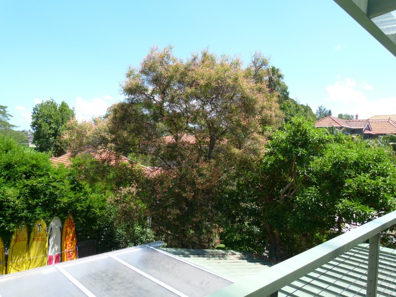 9 Arnold Street, Queens Park NSW 2022