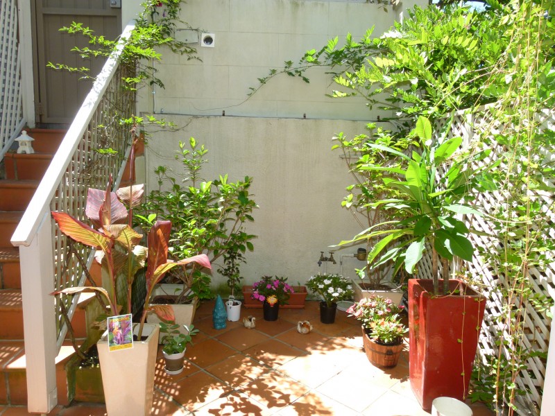 45 Mackenzie Street, Bondi Junction NSW 2022