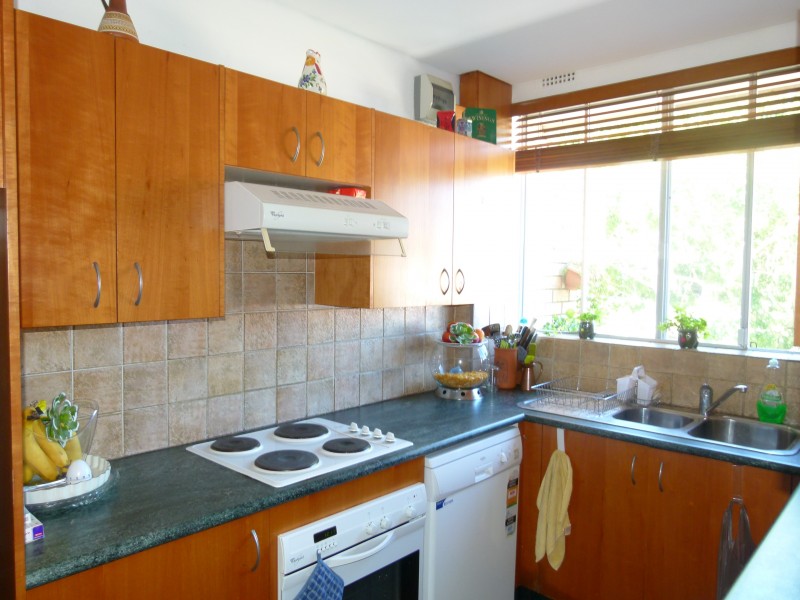 11/37 The Avenue, Rose Bay NSW 2029