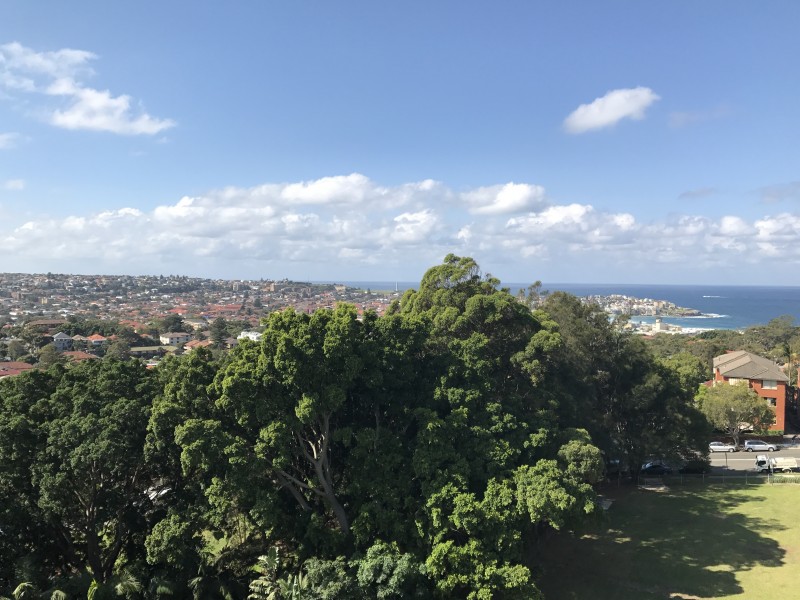 24/10 Ocean Street North, Bondi NSW 2026