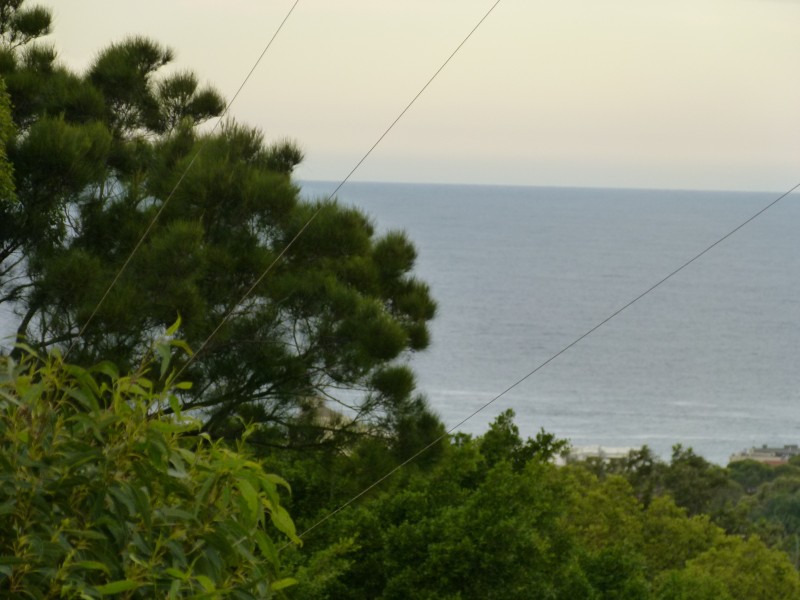 12/174  Old South Head Road, Bellevue Hill NSW 2023