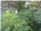 12/174  Old South Head Road, Bellevue Hill NSW 2023