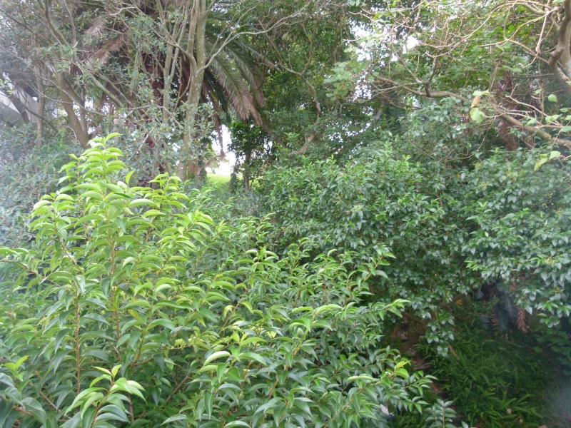 12/174  Old South Head Road, Bellevue Hill NSW 2023