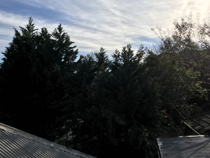 74 Oxford Street, Woollahra NSW 2025