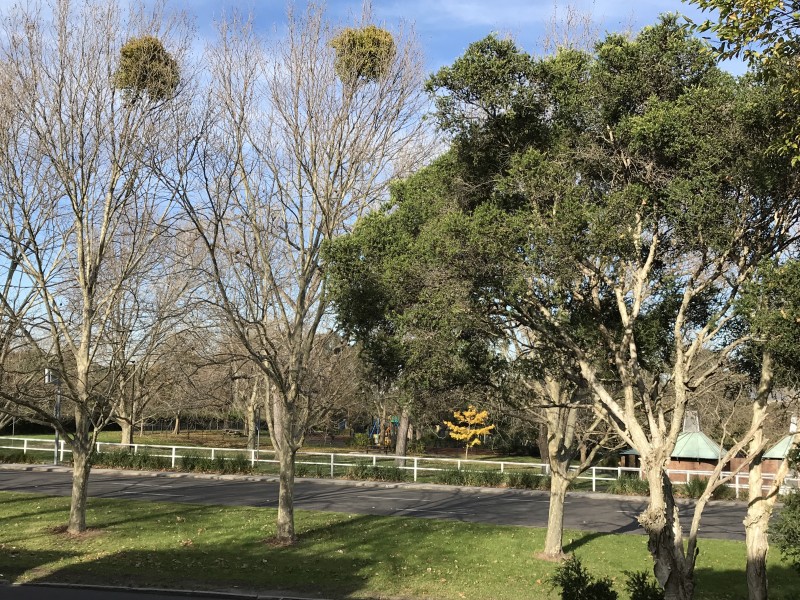 74 Oxford Street, Woollahra NSW 2025