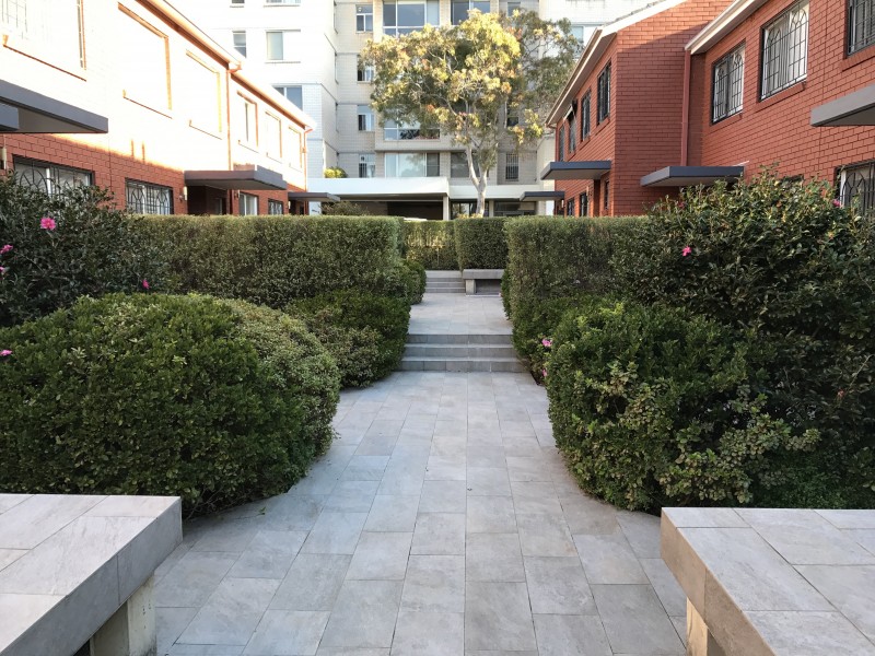 12/113-119 Cook Road, Centennial Park NSW 2021