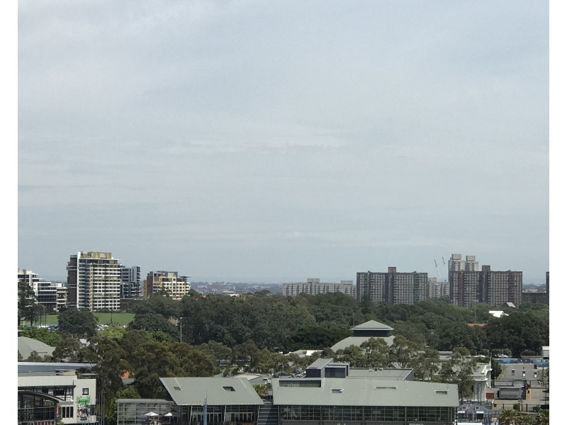 31/77-83 Cook Road, Centennial Park NSW 2021