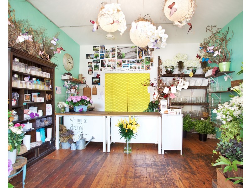 6/228B Clovelly Road, Clovelly NSW 2031