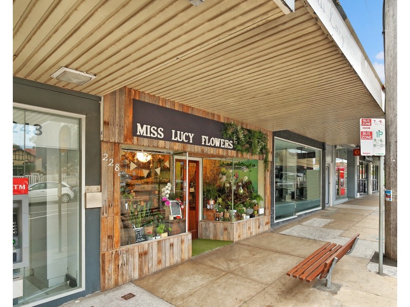 6/228B Clovelly Road, Clovelly NSW 2031