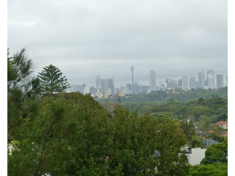 501/16 Roscrea Avenue, Randwick NSW 2031