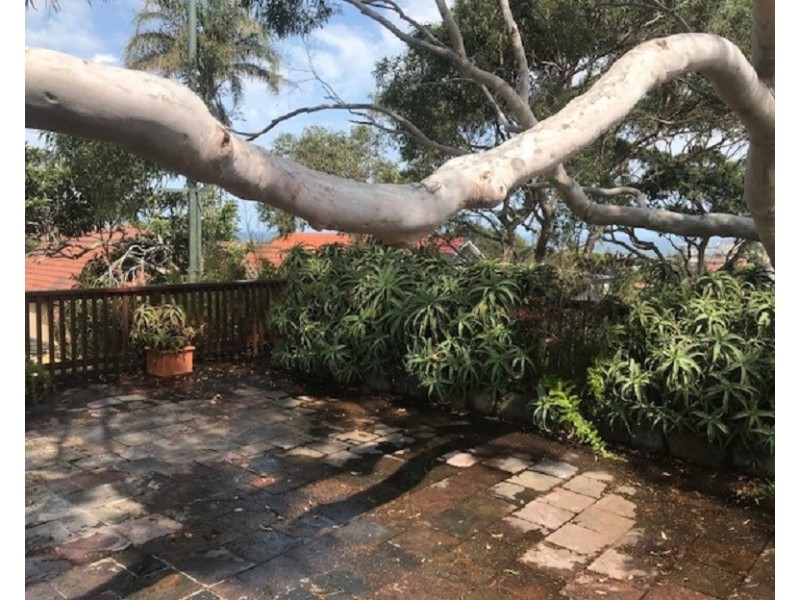 4 Carlton Street, Bronte NSW 2024