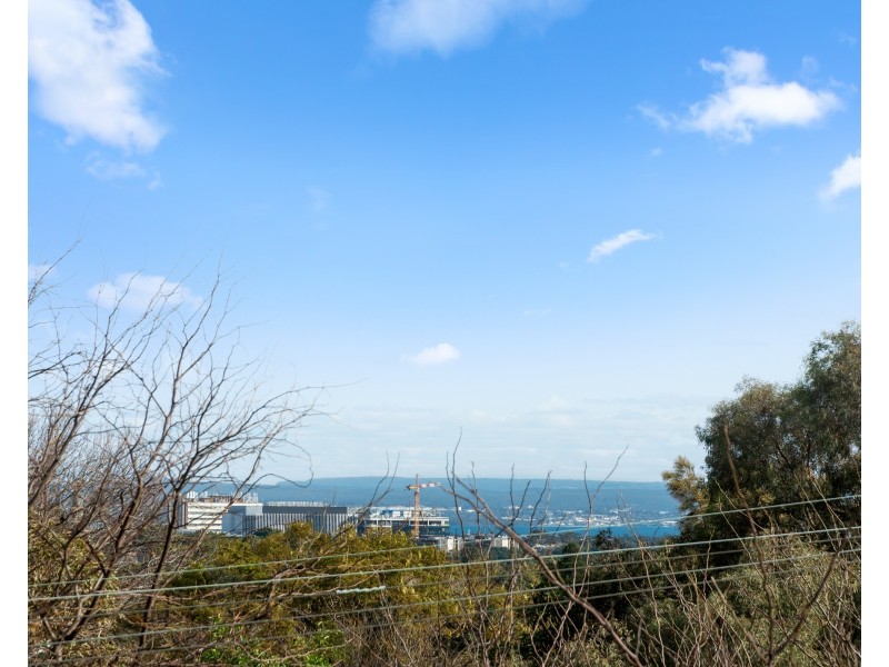 208/29 Newland Street, Bondi Junction NSW 2022