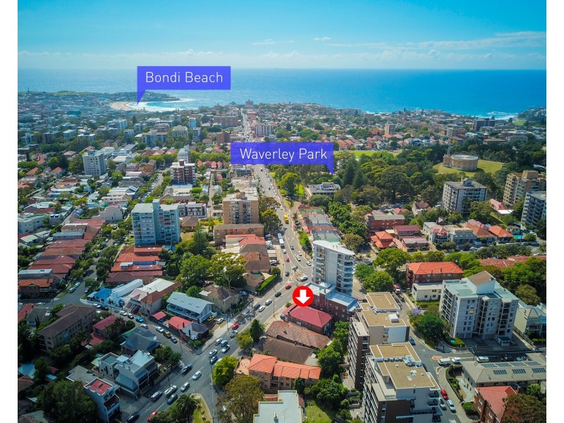 3/17-19 Bondi Road, Bondi Junction NSW 2022