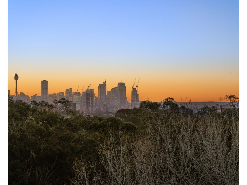 3/206C Victoria Road, Bondi Junction NSW 2022