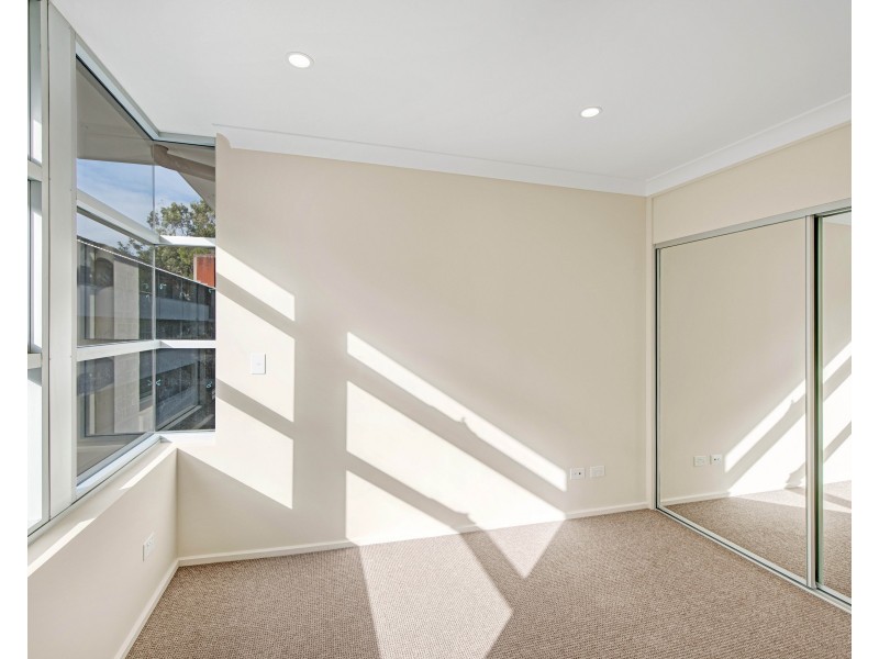 41C Murray Street, Bronte NSW 2024