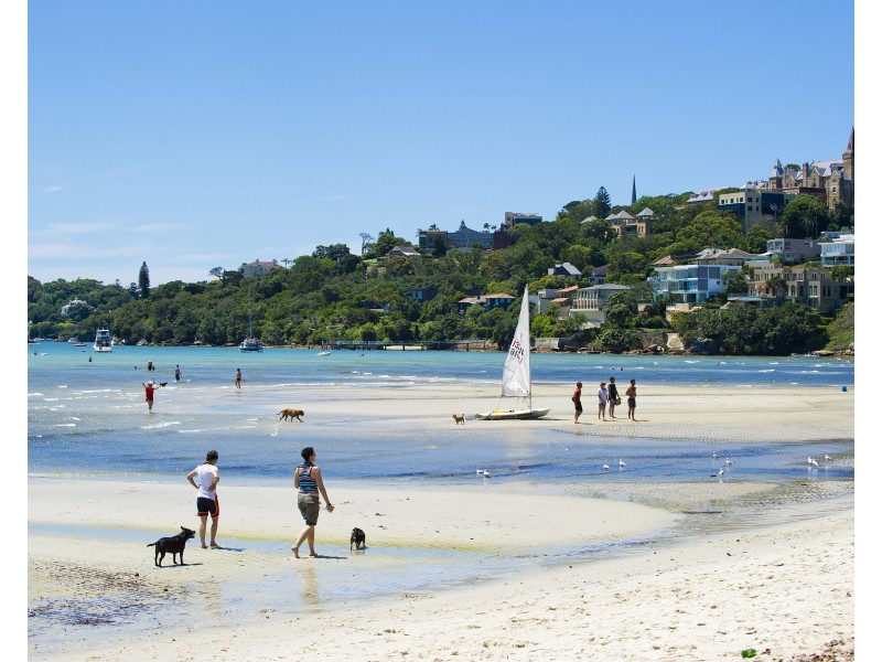 7/24  Balfour Road, Rose Bay NSW 2029