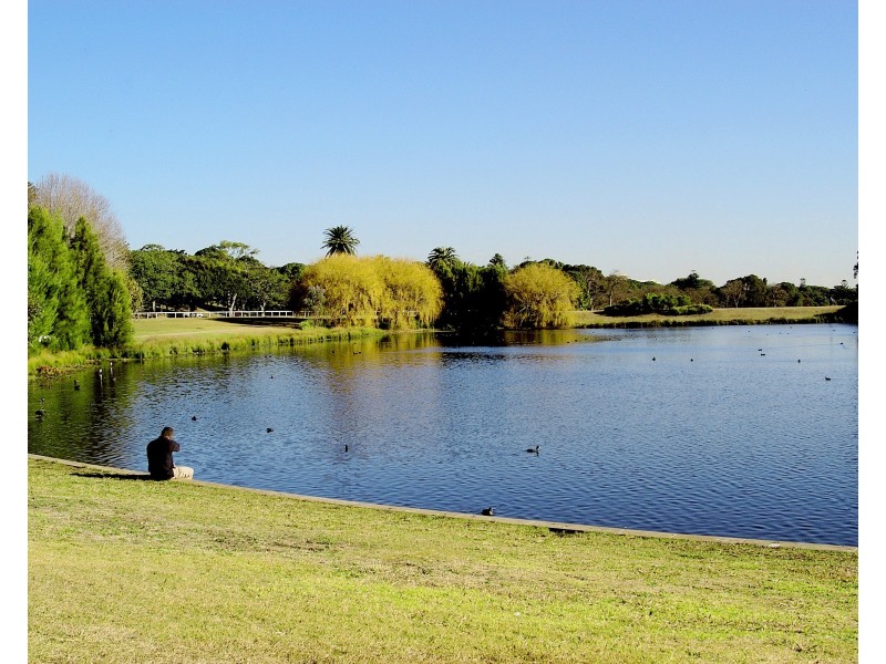 53/49 Cook Road, Centennial Park NSW 2021