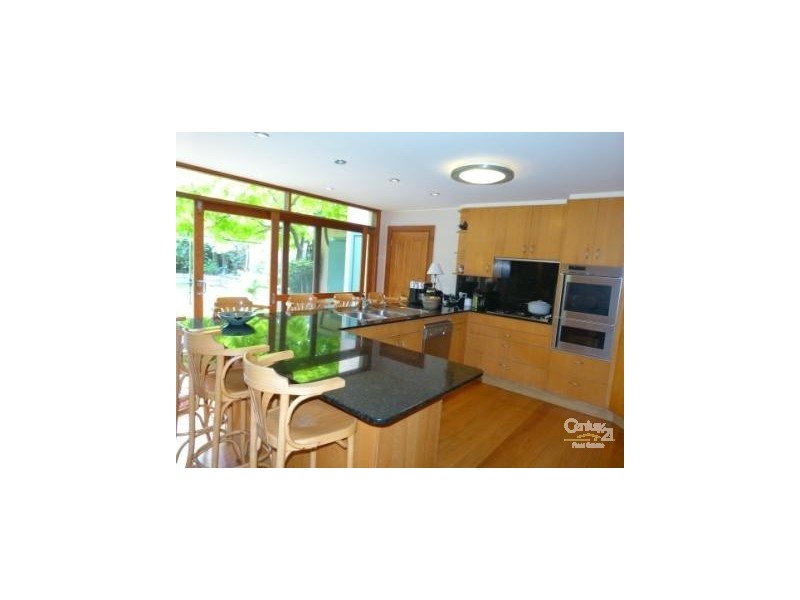42 Boundary Street, Bronte NSW 2024