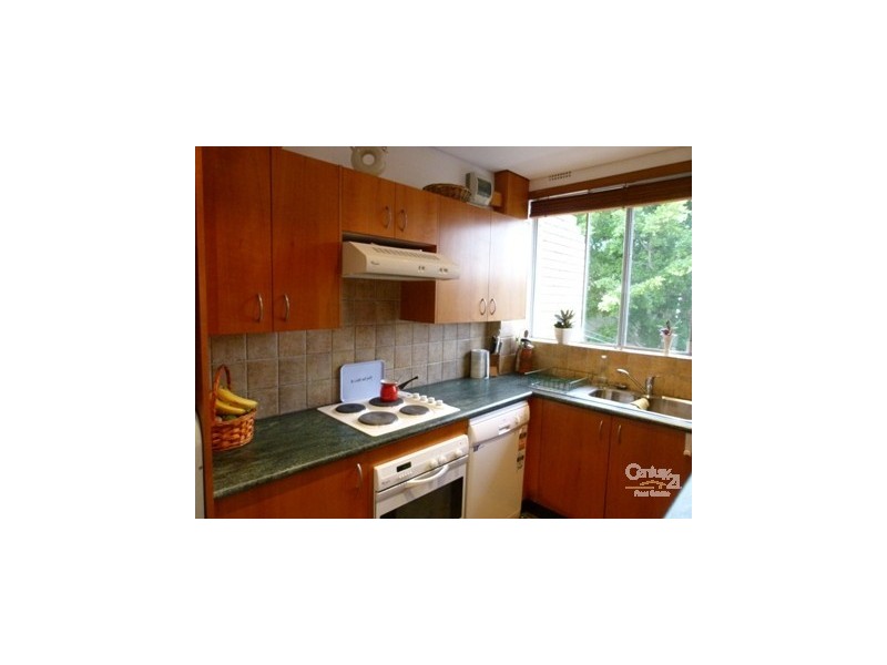 11/37 The Avenue, Rose Bay NSW 2029