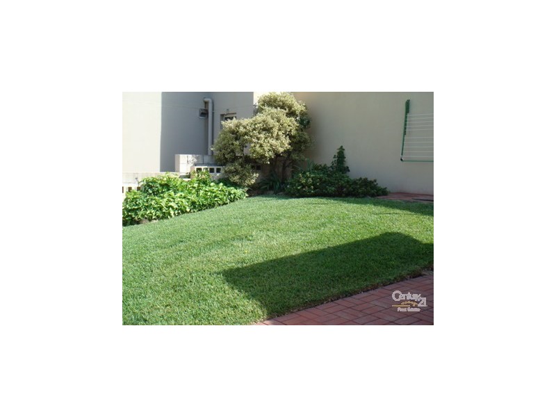 16 Victory Street, Clovelly NSW 2031