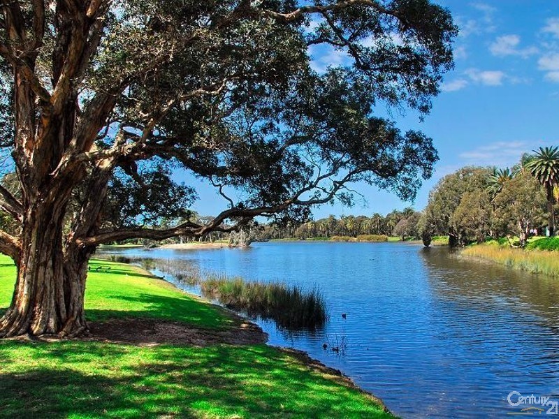 42/49-51  Cook Road, Centennial Park NSW 2021