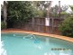 50 Highs Road, West Pennant Hills NSW 2125