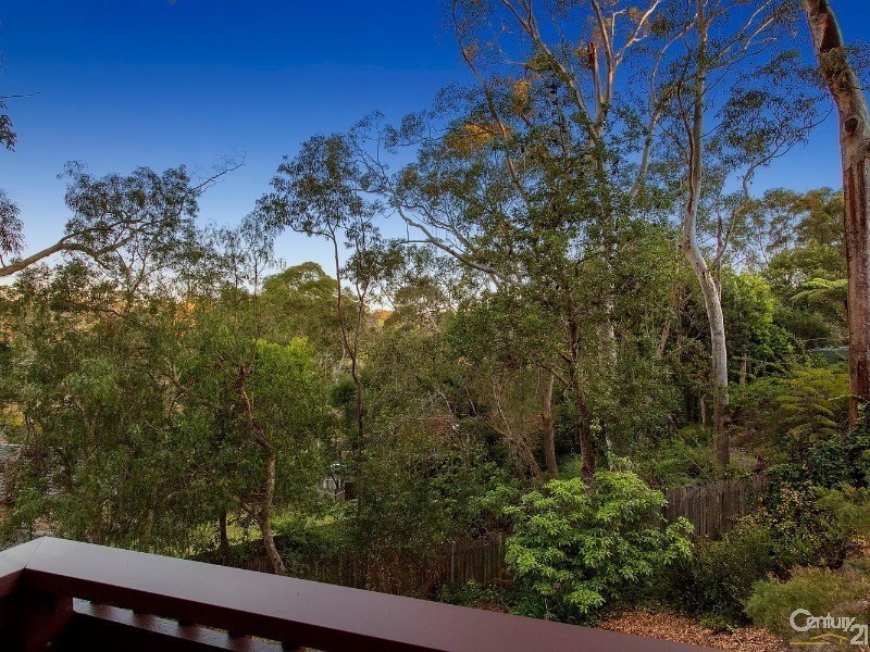 14 Morris Avenue, Thornleigh NSW 2120