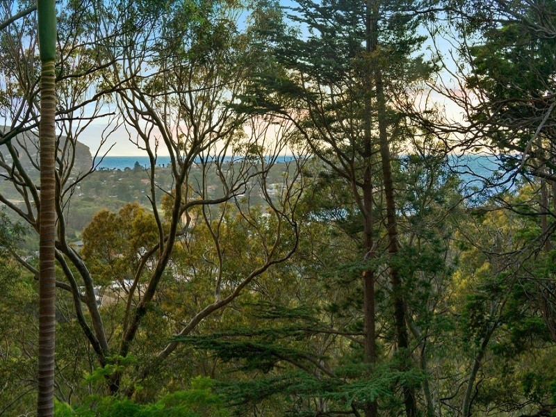 2a Palmgrove Road, Avalon Beach NSW 2107