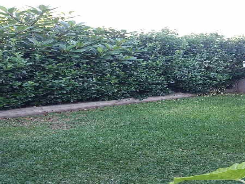 48 Mitchell Street, Stockton NSW 2295