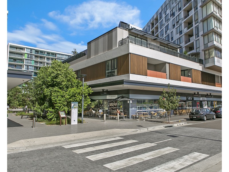 219/2 Chisholm St, Wolli Creek NSW 2205