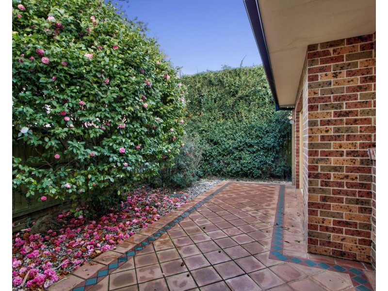 17  Bertram St, Chatswood NSW 2067