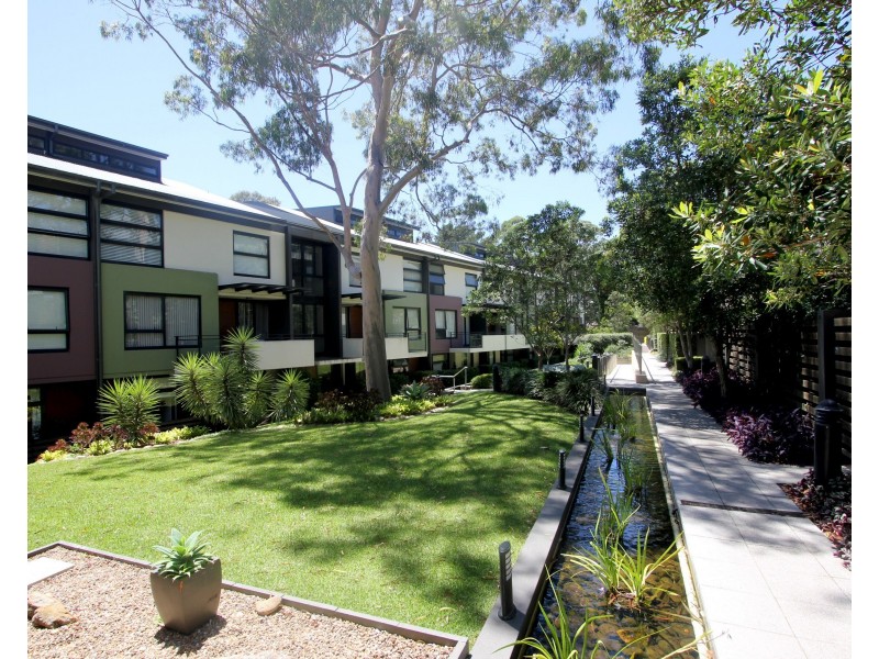 C110/2-4 Darley St, Forestville NSW 2087